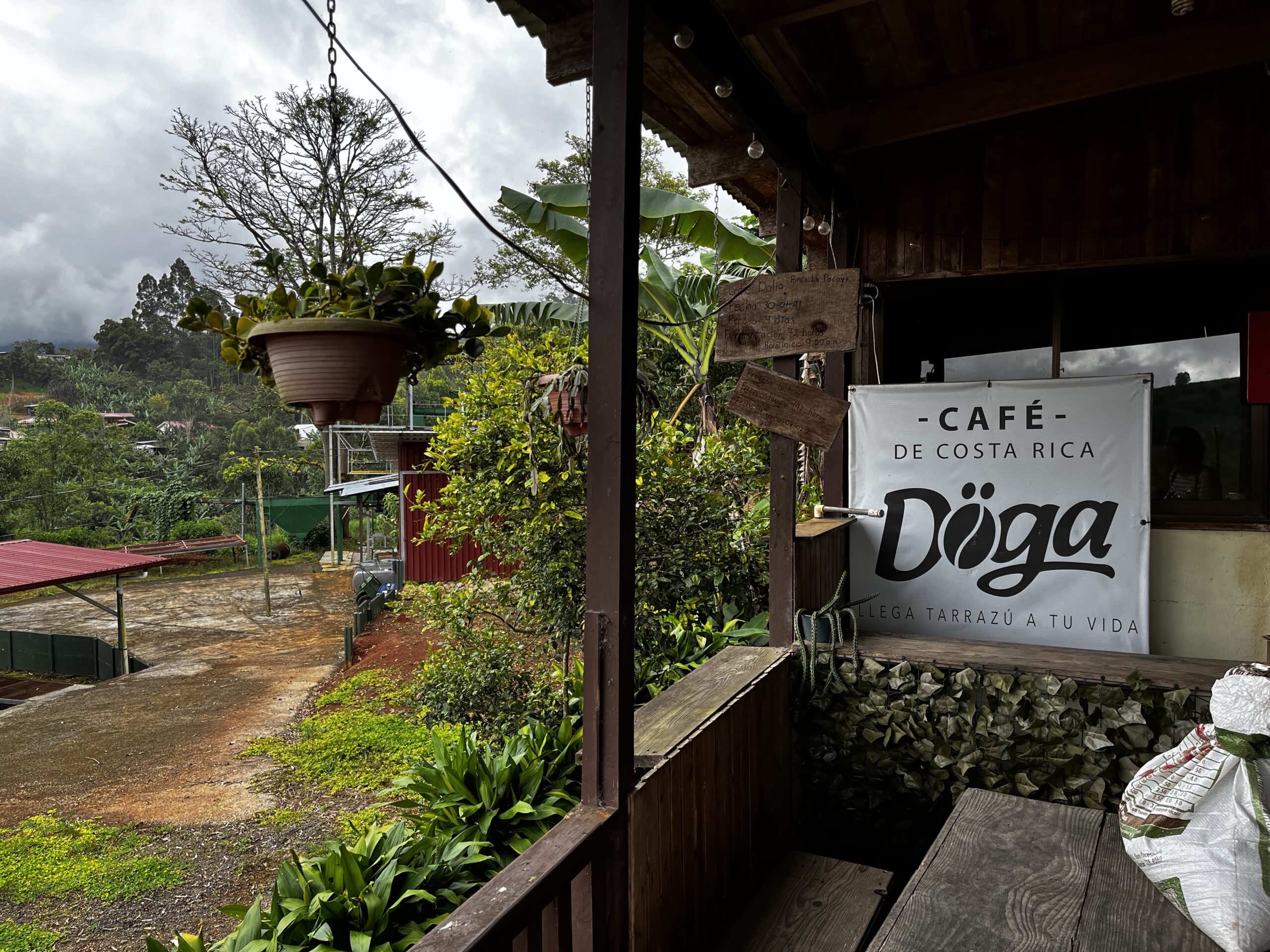 Café Döga