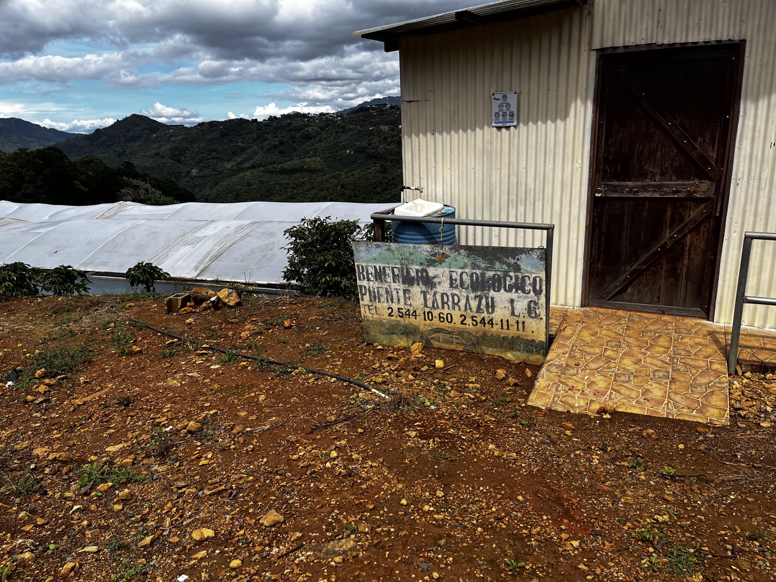 Beneficio Puente Tarrazu