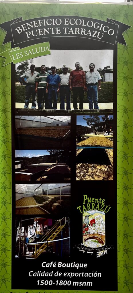 Poster Puente Tarrazu