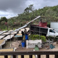 Delivery of coffee cherries