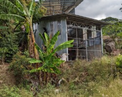 Tarrazu Landscapes